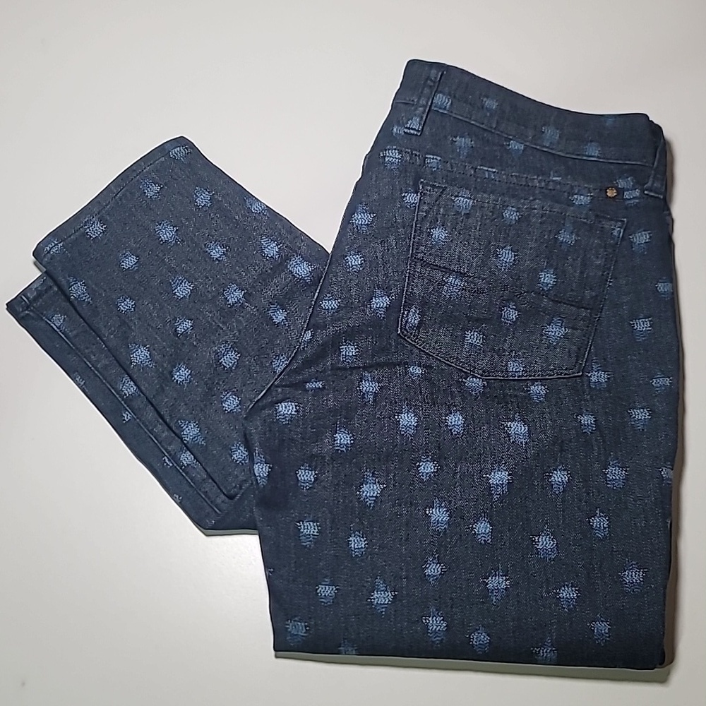 LUCKY BRAND Charlie Skinny Denim Dark Wash Unique Printed Mid Rise